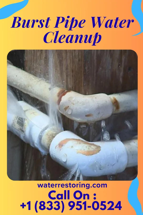 Burst Pipe Water Cleanup in Callensburg, PA