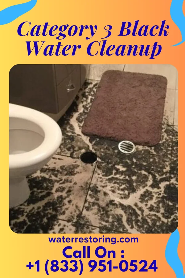 Category 3 Black Water Cleanup in Callensburg, PA