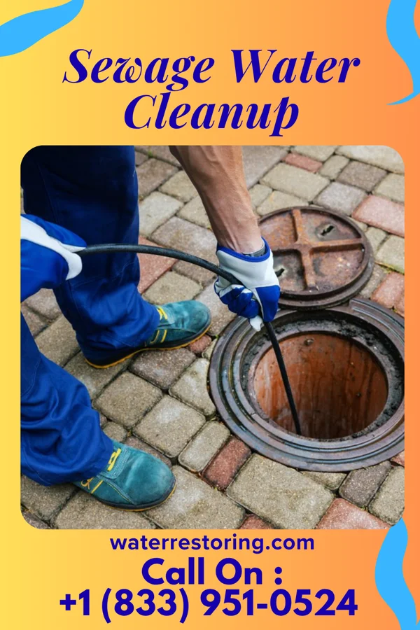 Sewage Water Cleanup in Callensburg, PA