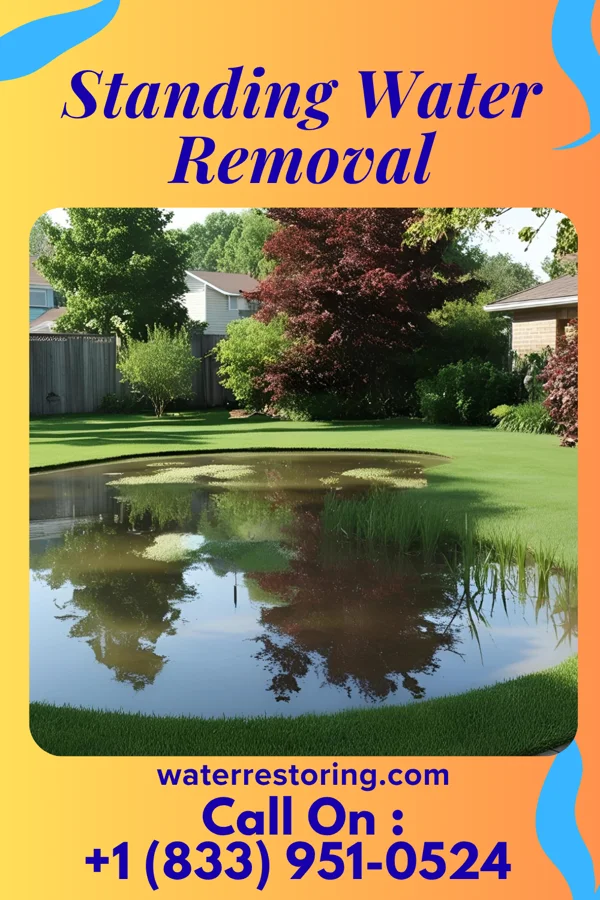 Standing Water Removal in Callensburg, PA